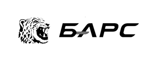 BARS